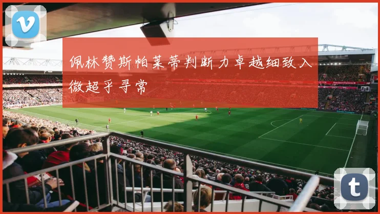 佩林赞斯帕莱蒂判断力卓越细致入微超乎寻常