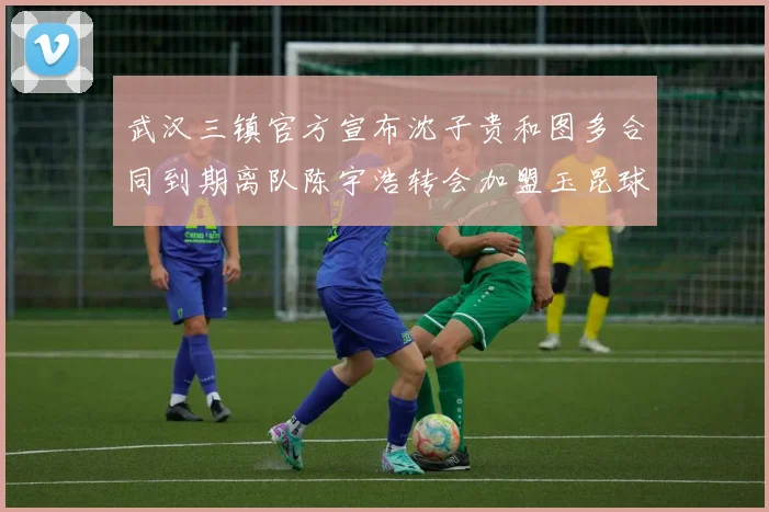 武汉三镇官方宣布沈子贵和图多合同到期离队陈宇浩转会加盟玉昆球队